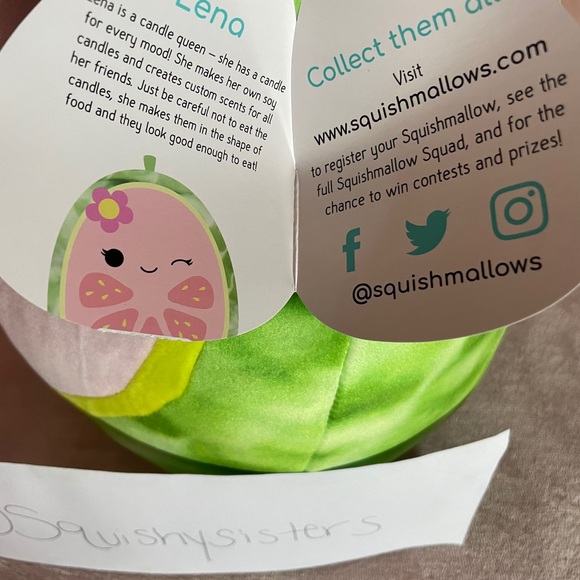 Squishmallow Tags Printable Printable World Holiday